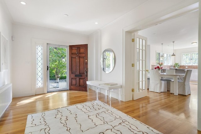 entryway featuring light wood-type flooring and plenty of natural light