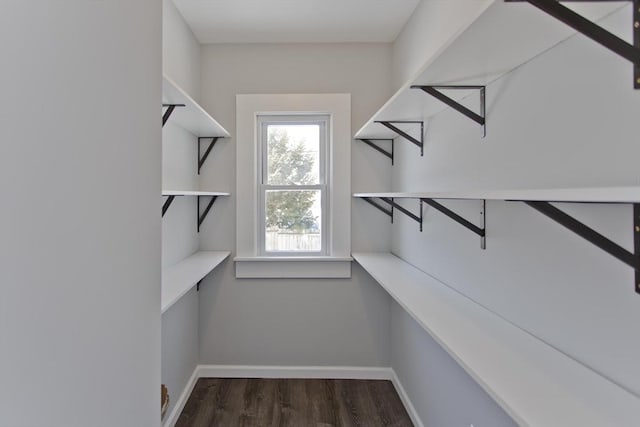 walk in closet featuring dark wood-style floors