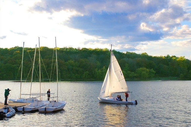 property view of water with a view of trees