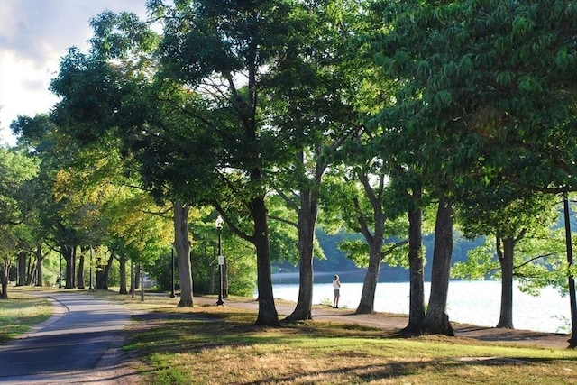 view of community with a water view