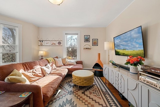 living room featuring dark wood-style floors