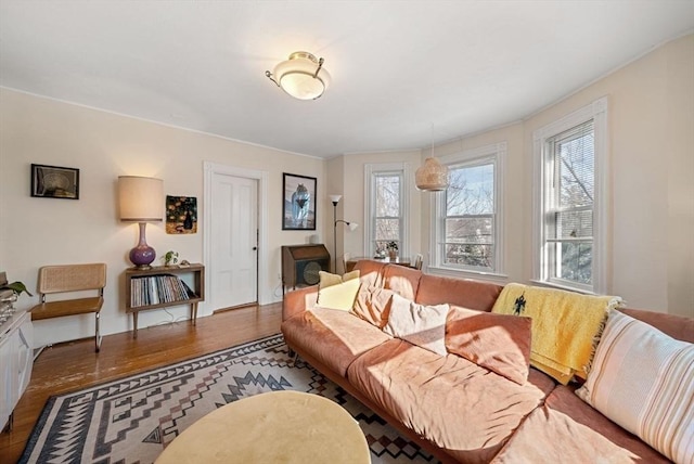 living area featuring wood finished floors