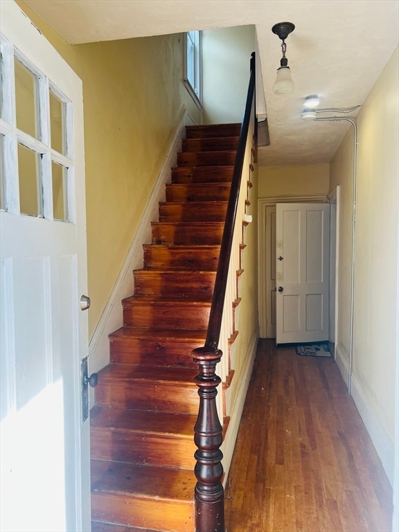 staircase with wood-type flooring