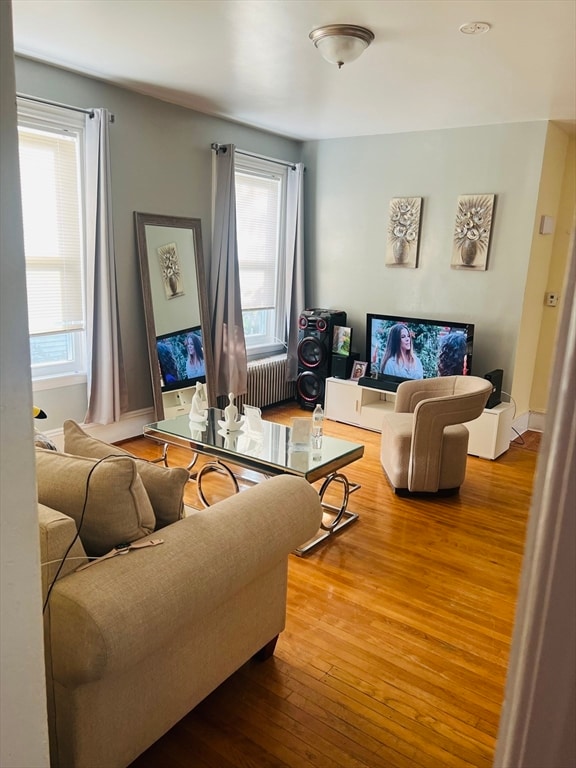 living room featuring hardwood / wood-style floors