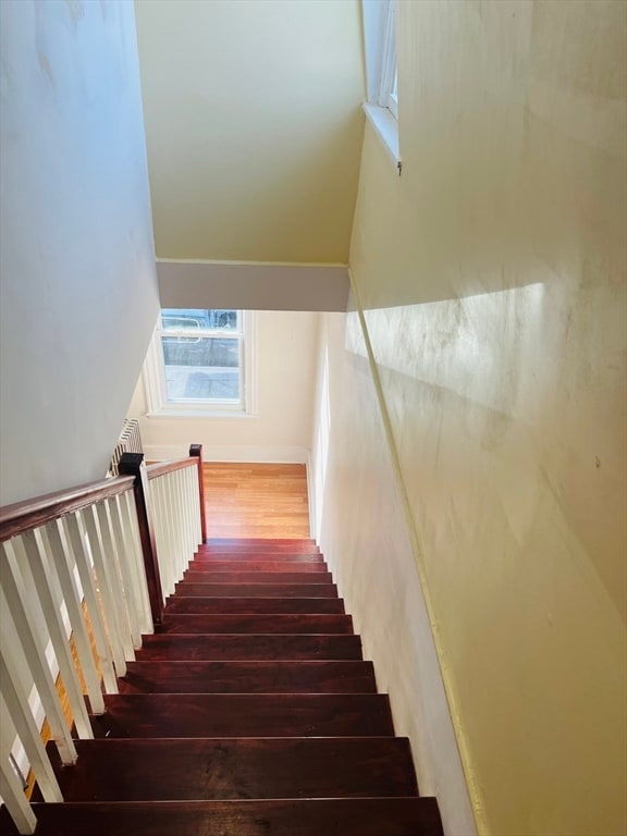 staircase featuring wood-type flooring