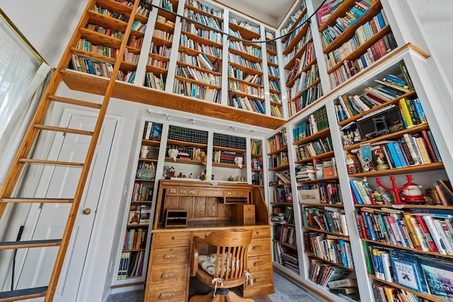 home office with bookshelves and carpet floors