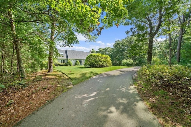 view of road with driveway