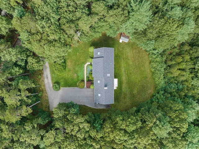 bird's eye view with a view of trees