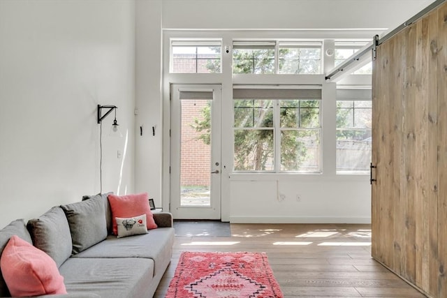 165 Chestnut Hill Ave Unit 3, Boston, MA 02135 - living room with hardwood / wood-style floors