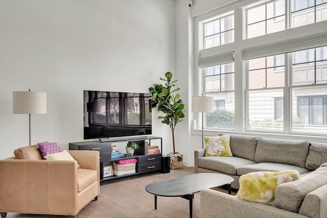 165 Chestnut Hill Ave Unit 3, Boston, MA 02135 - living room with light wood-style flooring and a high ceiling