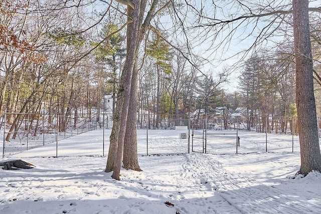 view of snowy yard