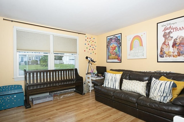 14 Robbins Rd, Ayer, MA 01432 - living room featuring wood finished floors