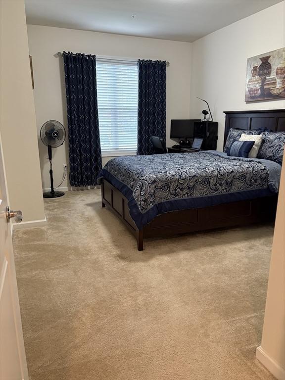 12101 Peters Farm Way Unit 12101, Westborough, MA 01581 - bedroom with light carpet and baseboards