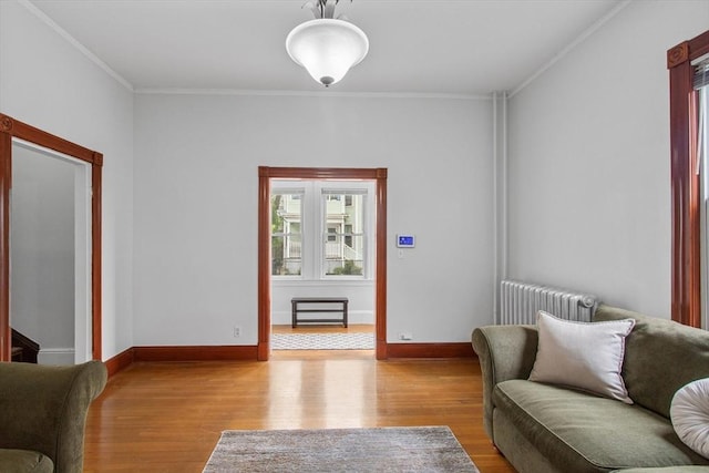 38 Torrey St, Boston, MA 02124 - living area with radiator heating unit, wood finished floors, crown molding, and baseboards