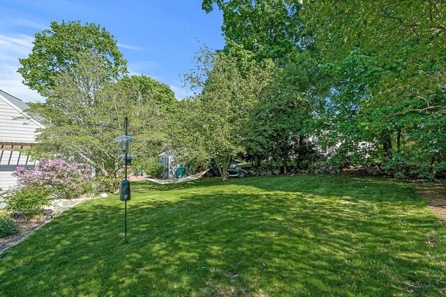 4 Worthen Rd, Winchester, MA 01890 - view of grassy yard