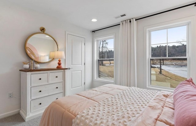 15 Mason Way Unit 73, Woburn, MA 01801 - bedroom with multiple windows, recessed lighting, and carpet floors