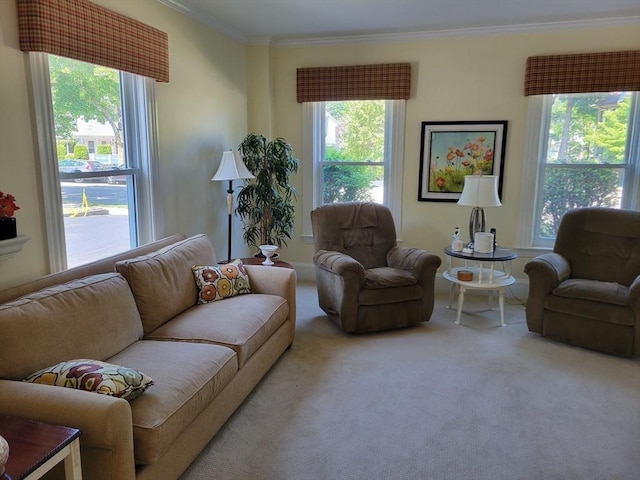 40 June St, Worcester, MA 01602 - carpeted living area featuring crown molding