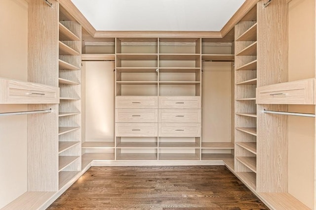 spacious closet featuring dark wood-style flooring