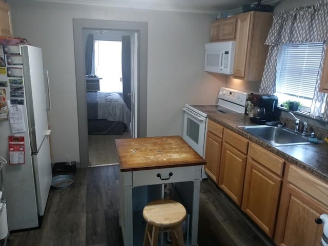 13 William St, Westfield, MA 01085 - kitchen with white appliances, a sink, dark wood-style flooring, crown molding, and butcher block countertops