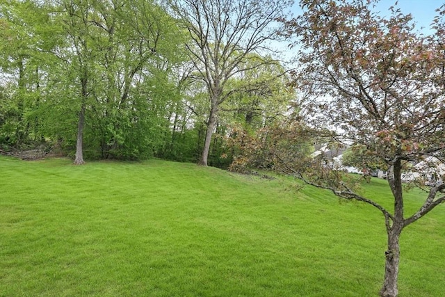view of green lawn