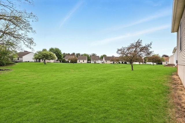 view of grassy yard