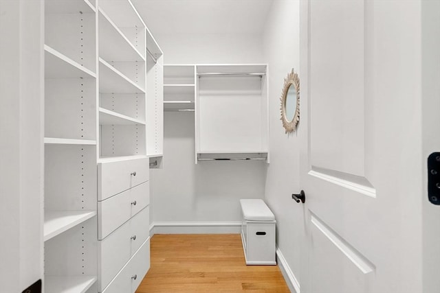 42 Coolidge St Unit 42, Brookline, MA 02446 - walk in closet with light wood-type flooring