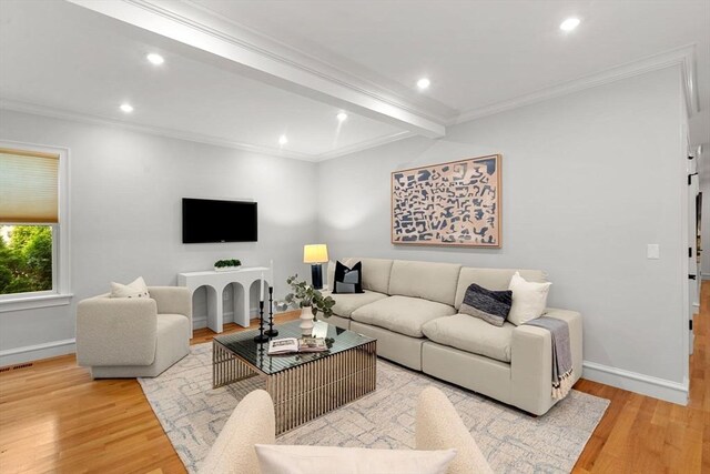42 Coolidge St Unit 42, Brookline, MA 02446 - living room with wood finished floors, ornamental molding, baseboards, and recessed lighting