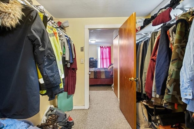walk in closet with carpet floors