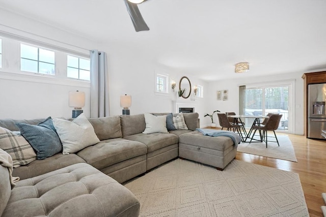 living room featuring plenty of natural light, ceiling fan, and light wood-type flooring