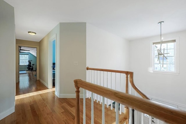 hallway featuring dark hardwood / wood-style flooring and a wealth of natural light