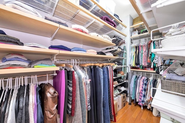 walk in closet featuring wood finished floors