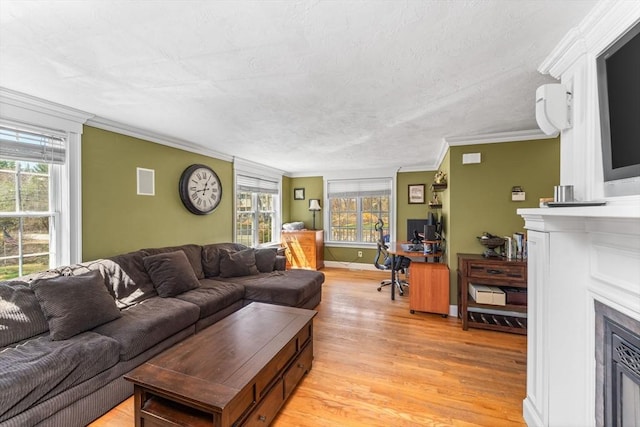 86 Whitney, Northborough, MA 01532 - living room with crown molding, a fireplace, light wood-style flooring, plenty of natural light, and baseboards