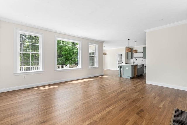 20 Sperry Ln, North Attleboro, MA 02760 - unfurnished living room with ornamental molding, baseboards, wood finished floors, and a sink
