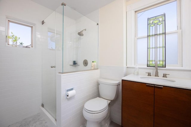 bathroom with plenty of natural light, toilet, vanity, and a shower stall