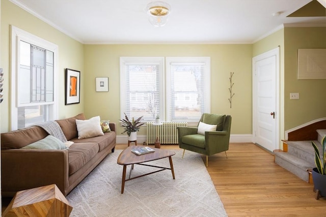 living room featuring crown molding, light wood-style flooring, radiator heating unit, and stairway