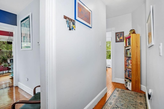 4 Marlou Unit 3, Boston, MA 02130 - hallway with wood finished floors and baseboards