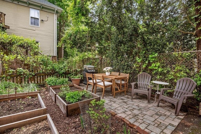 4 Marlou Unit 3, Boston, MA 02130 - view of patio with a vegetable garden