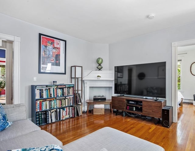 4 Marlou Unit 3, Boston, MA 02130 - living room with wood finished floors, healthy amount of natural light, and baseboard heating
