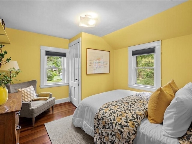bedroom featuring multiple windows, wood finished floors, baseboards, lofted ceiling, and a closet