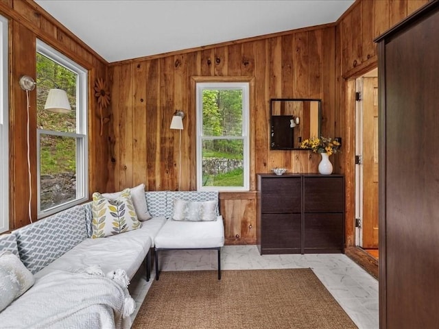 living area with wood walls and plenty of natural light