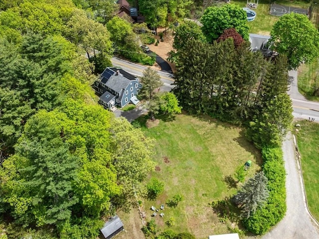 bird's eye view