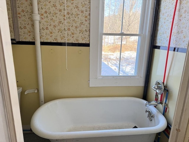 bathroom featuring a washtub