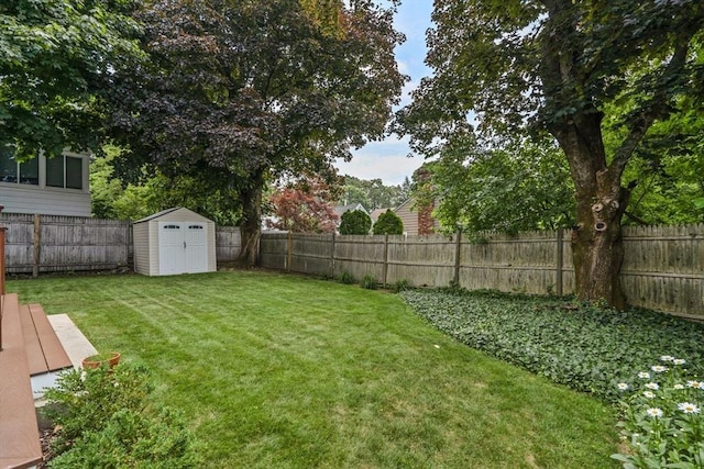 view of yard with a shed