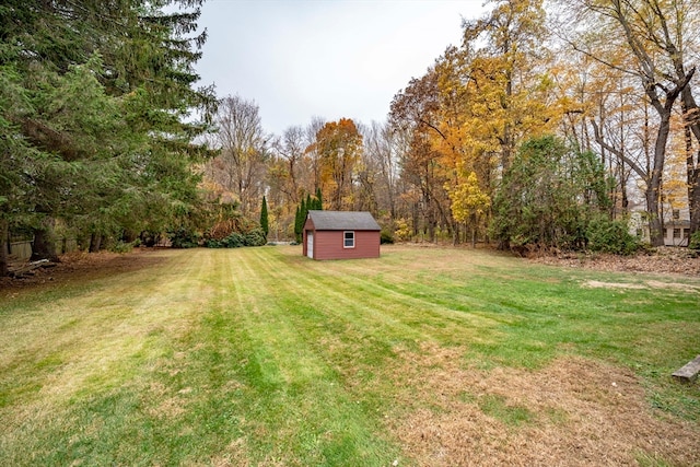 view of yard with a storage shed