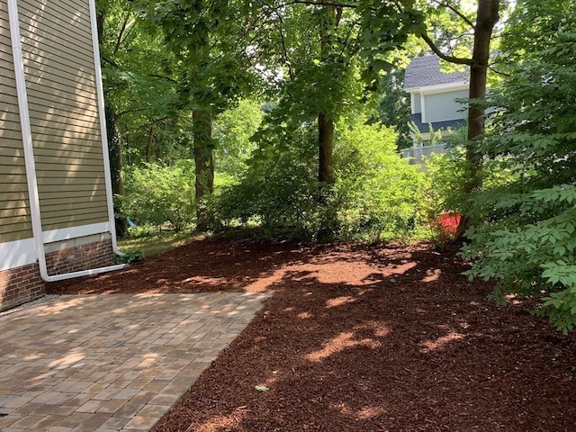 view of yard with a patio area