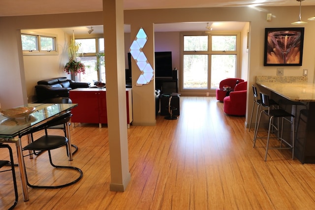 dining area with a healthy amount of sunlight and light hardwood / wood-style flooring