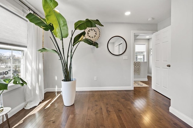 interior space featuring hardwood / wood-style flooring, a healthy amount of sunlight, and baseboards