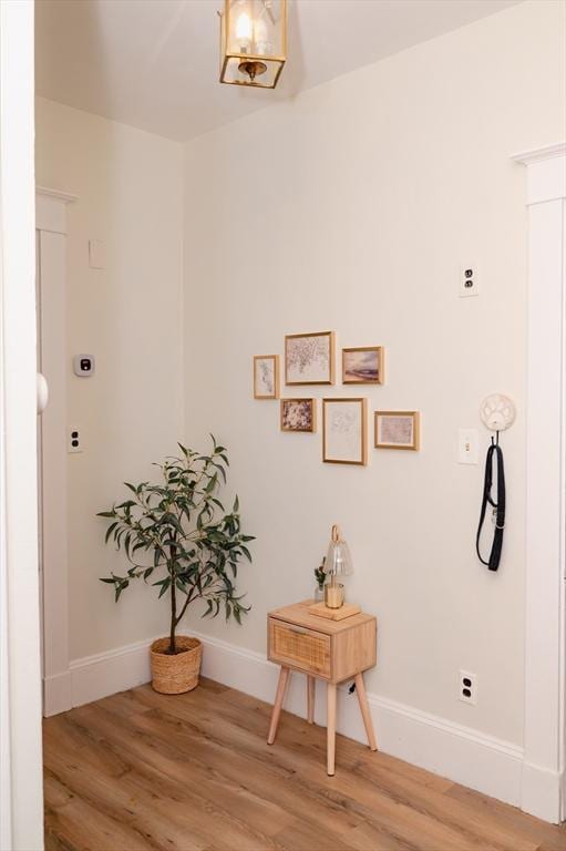 interior space featuring hardwood / wood-style floors