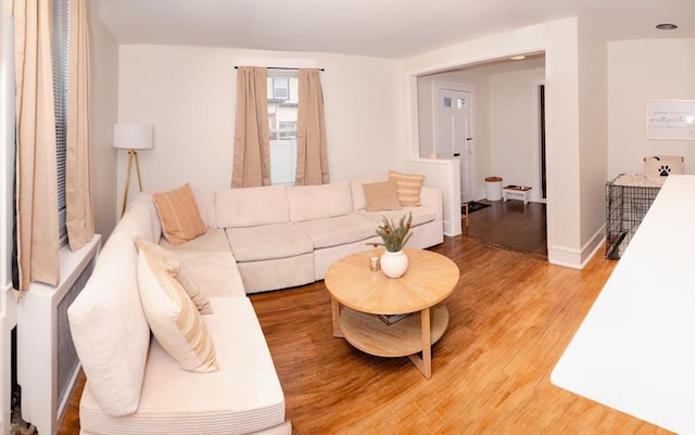 living room featuring hardwood / wood-style floors