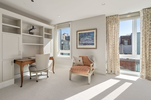 office space with light carpet and plenty of natural light